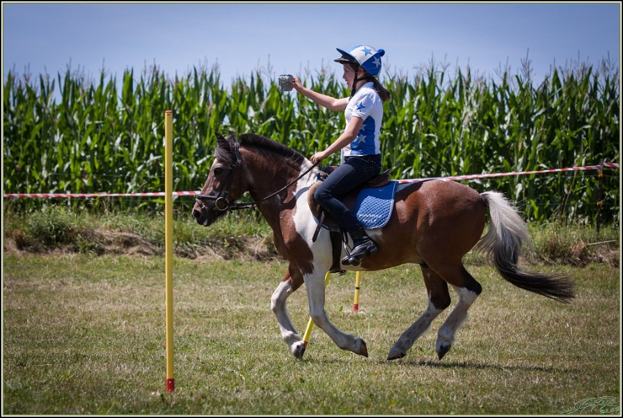 Mounted Games 210